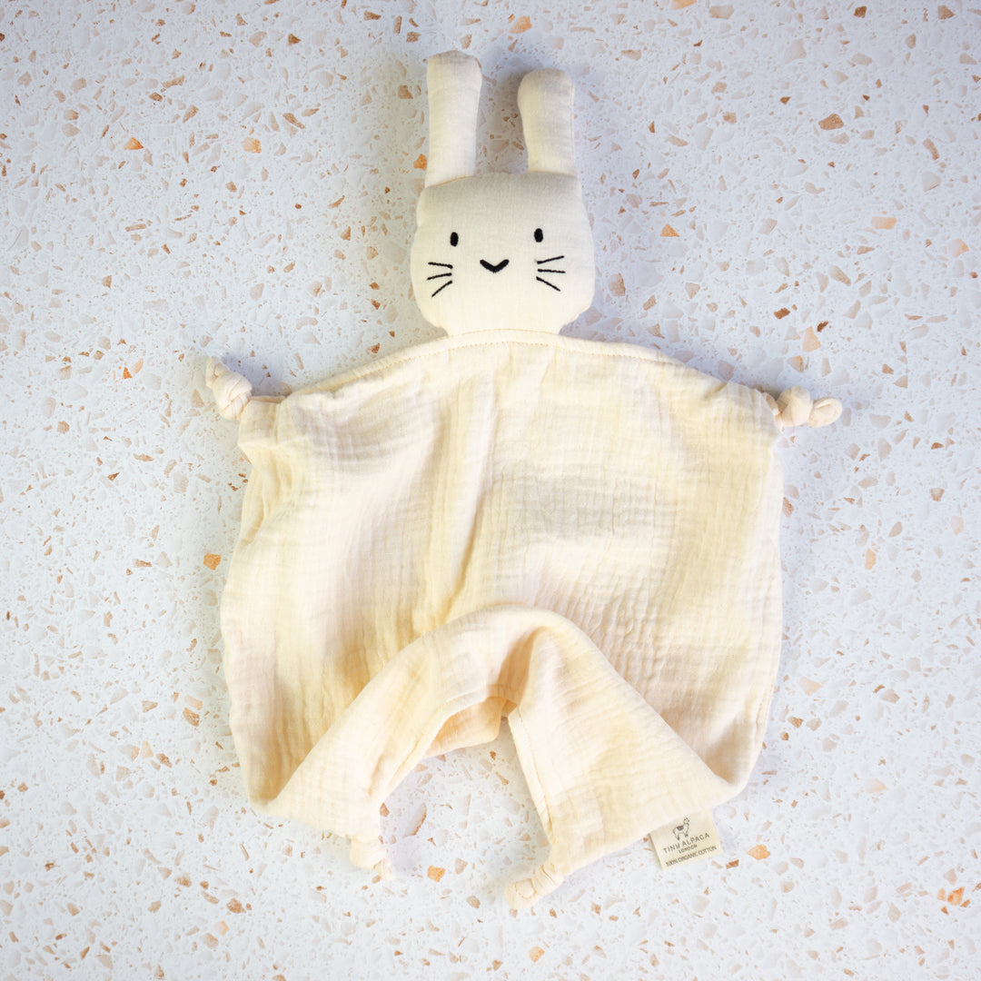 Organic Cotton Bunny Security Blanket With Teether 40x40CM